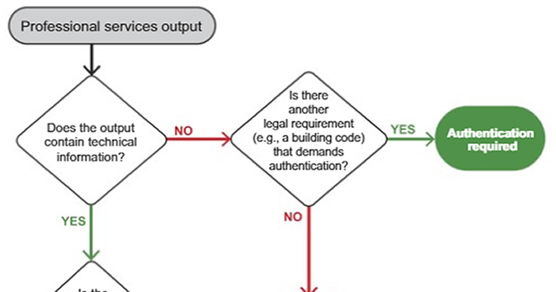 APEGA professional work product 