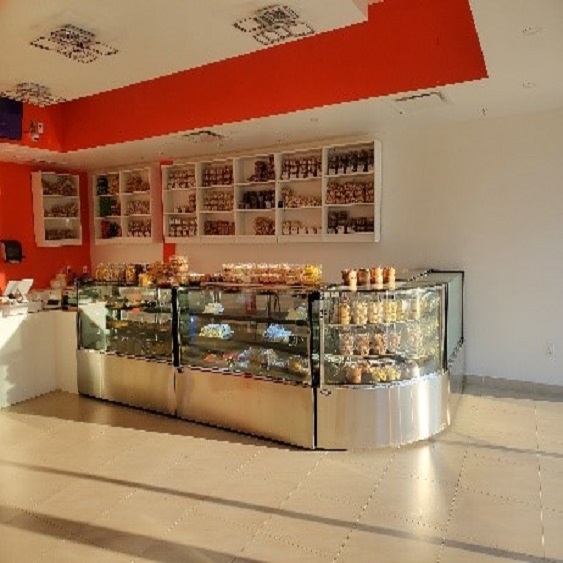 Mechanical Electrical Lexus Engineering