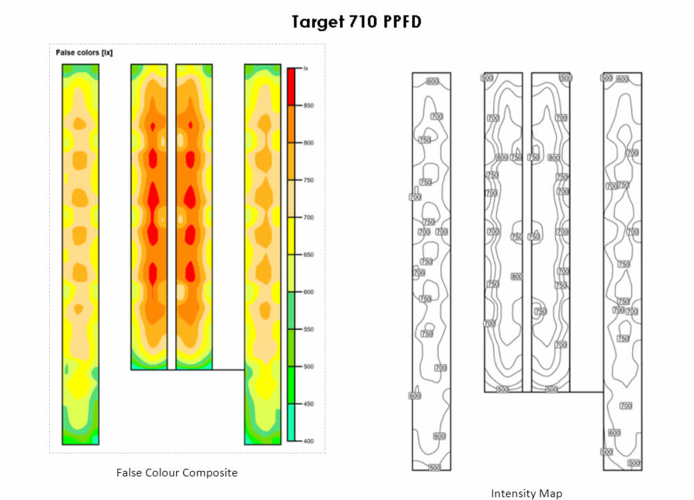 Palm Gardens Cannabis Grow-OP